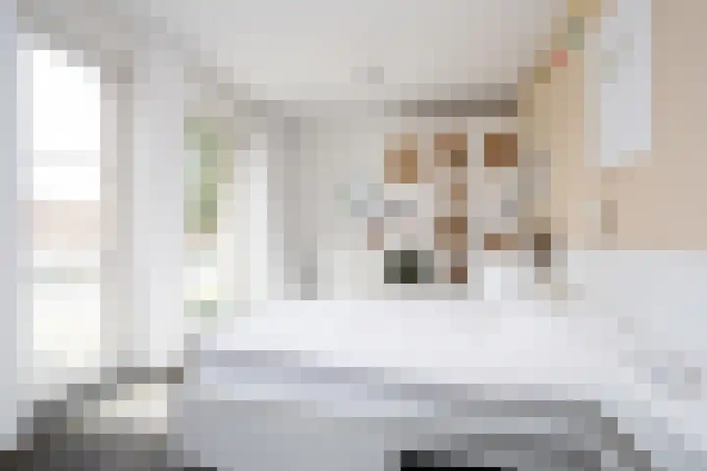 Oostmeerlaan 20 Berkel en Rodenrijs thumbnail 32