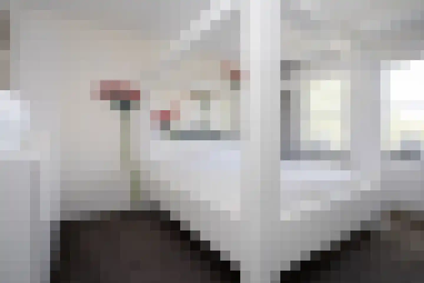 Oostmeerlaan 20 Berkel en Rodenrijs thumbnail 34