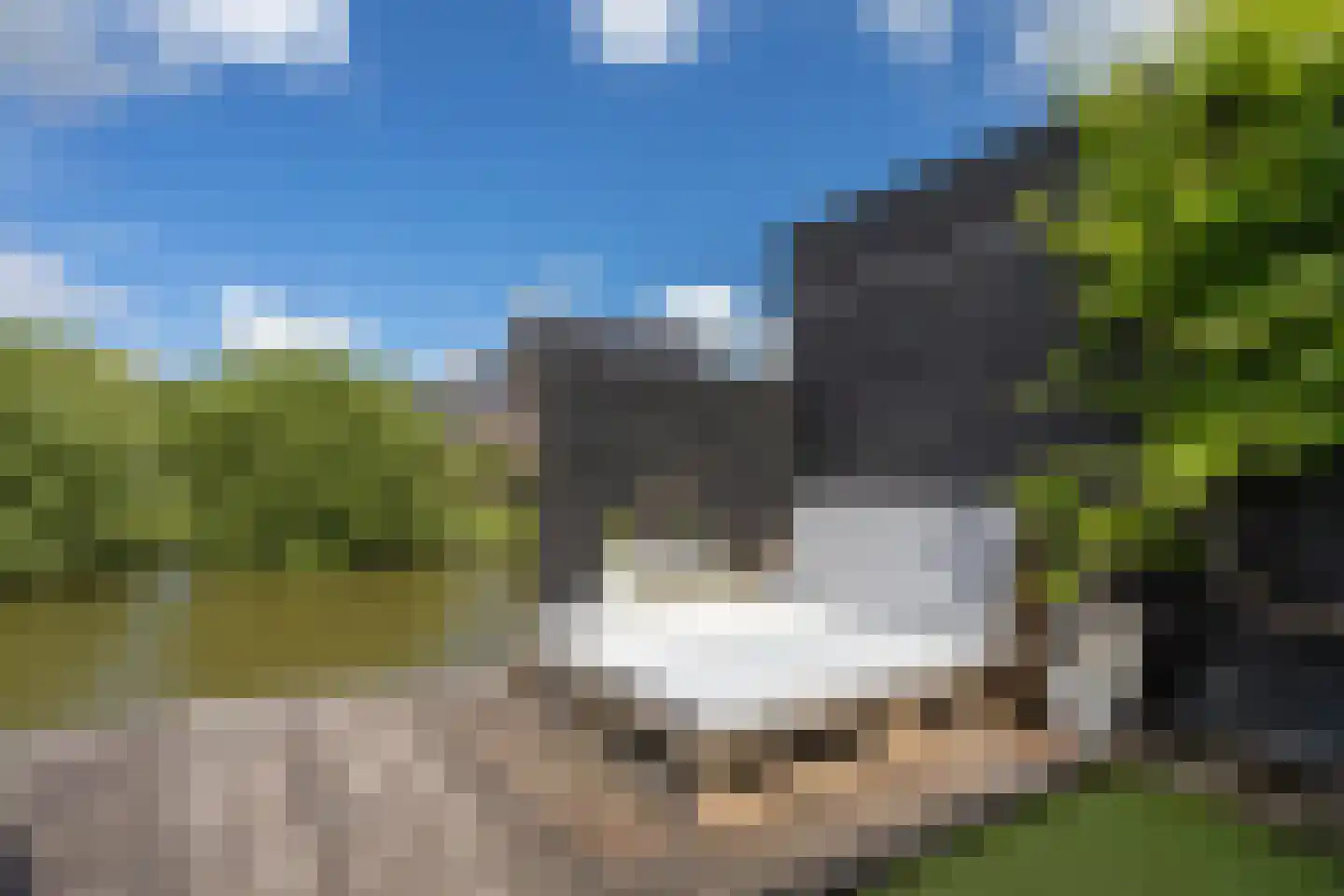 Oostmeerlaan 20 Berkel en Rodenrijs thumbnail 59