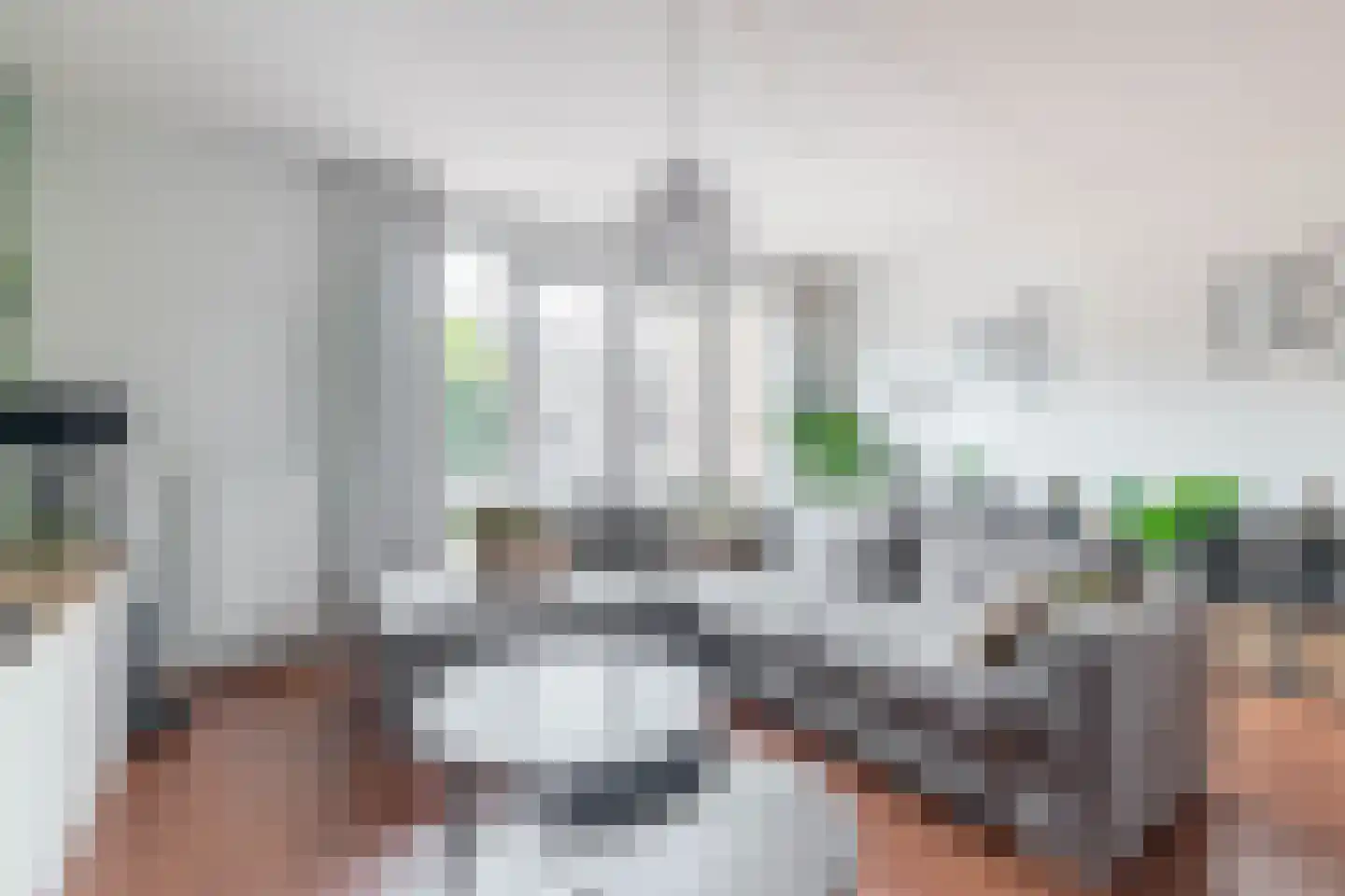 Oostmeerlaan 213 Berkel en Rodenrijs thumbnail 10
