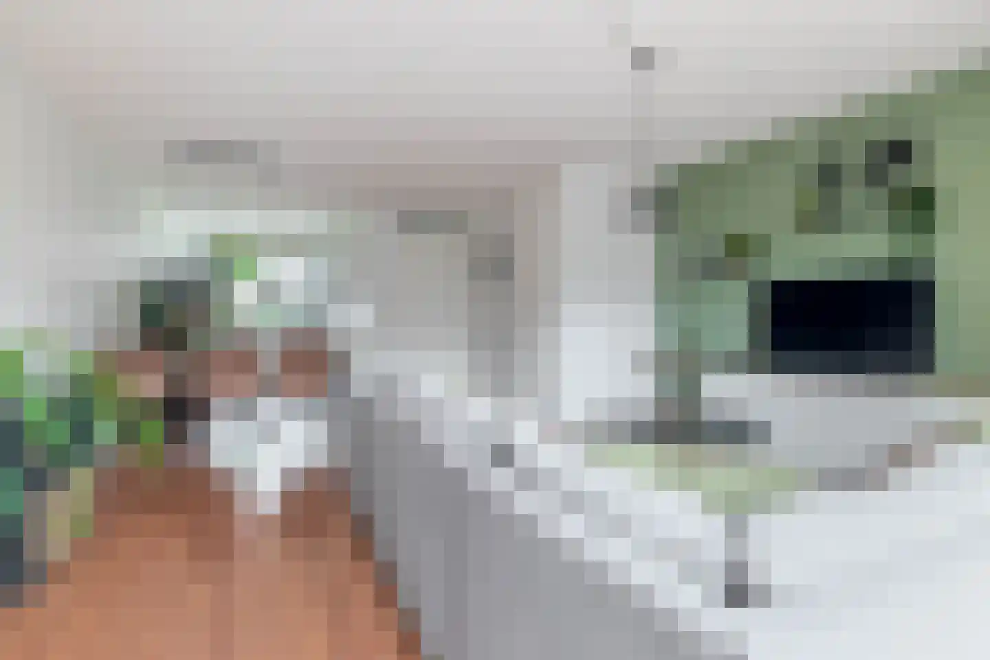 Oostmeerlaan 213 Berkel en Rodenrijs thumbnail 11