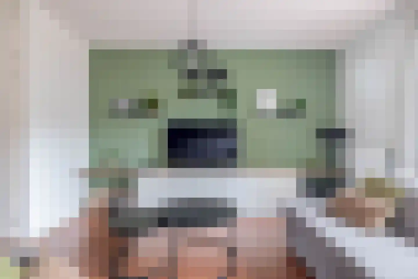 Oostmeerlaan 213 Berkel en Rodenrijs thumbnail 12