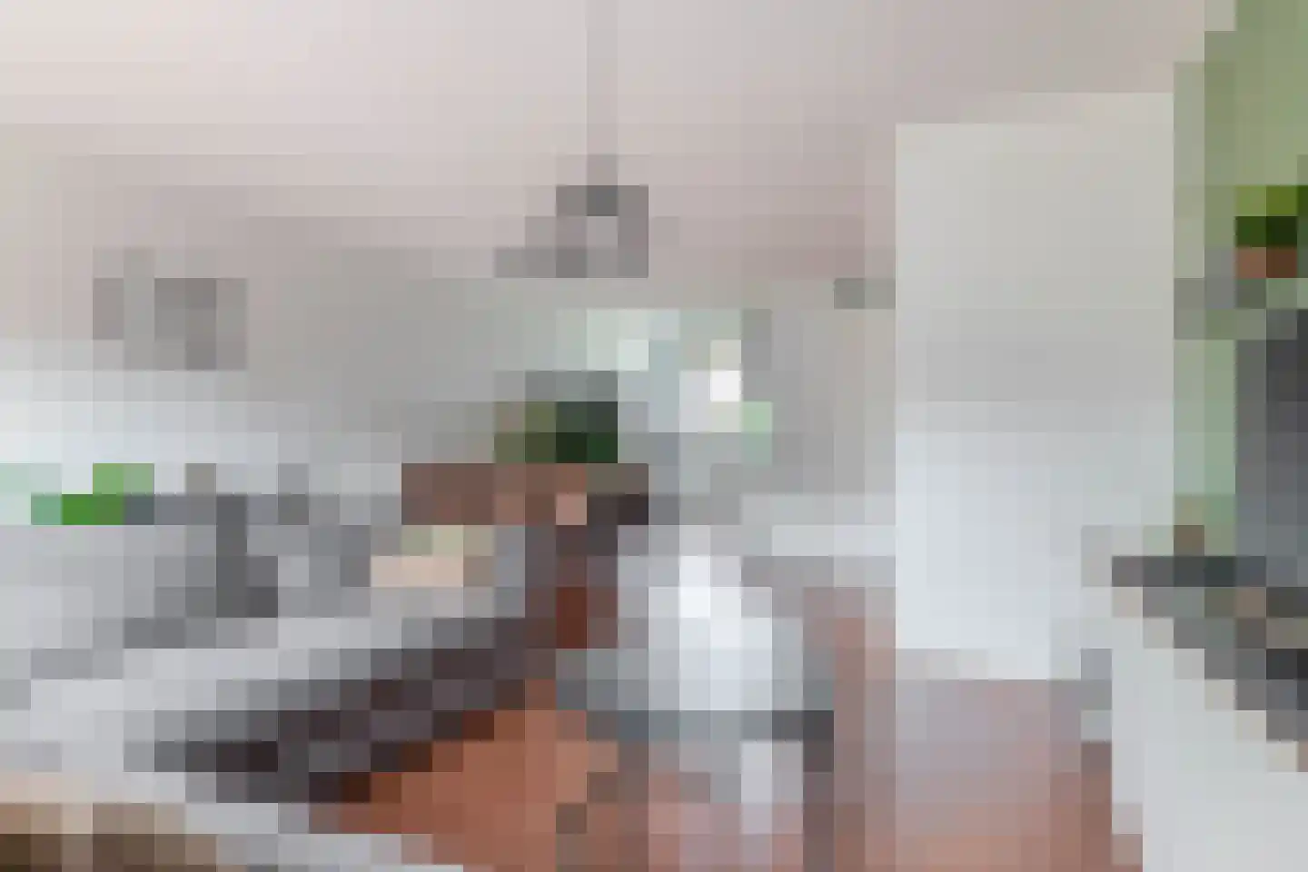 Oostmeerlaan 213 Berkel en Rodenrijs thumbnail 13