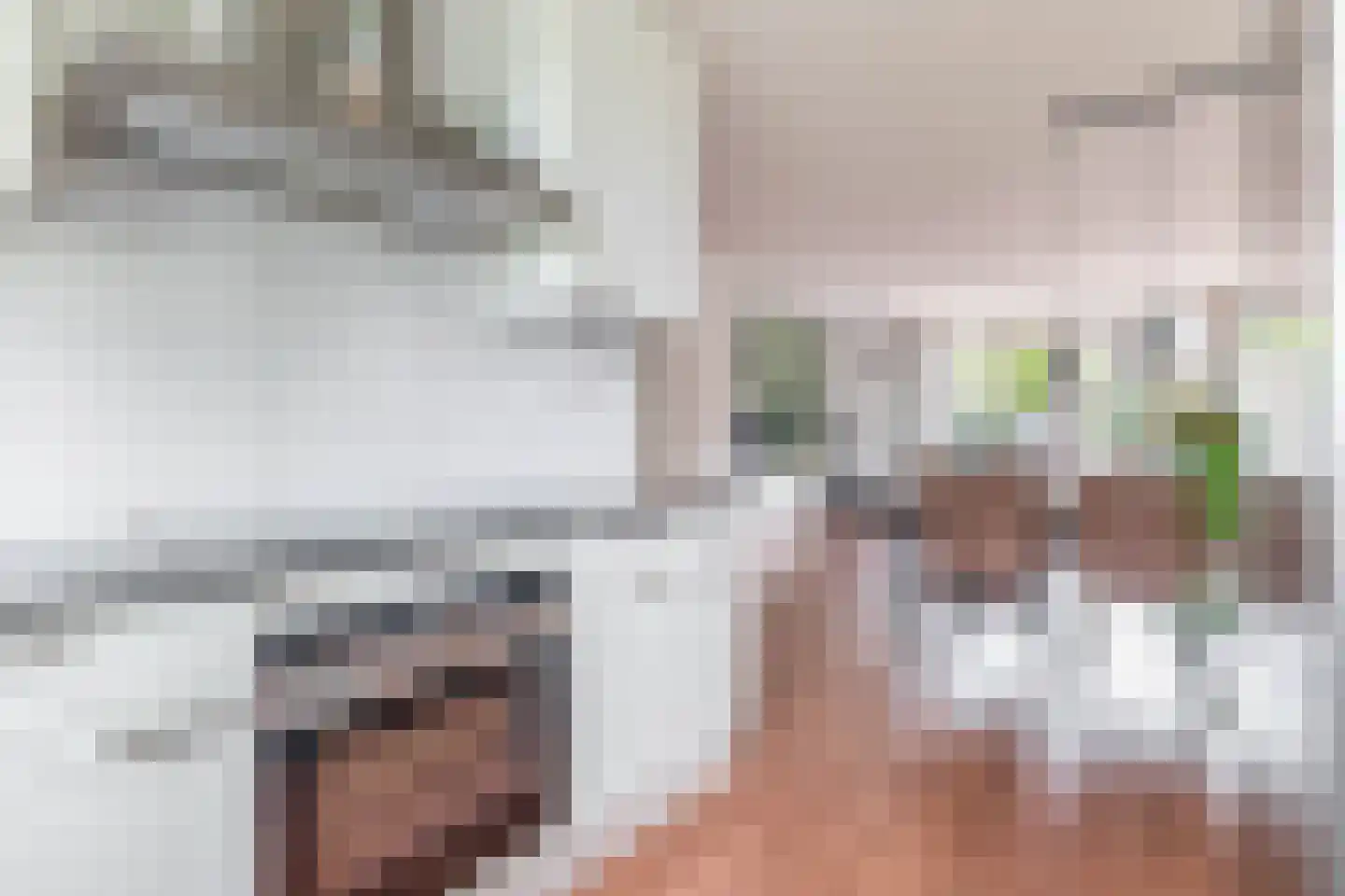 Oostmeerlaan 213 Berkel en Rodenrijs thumbnail 16
