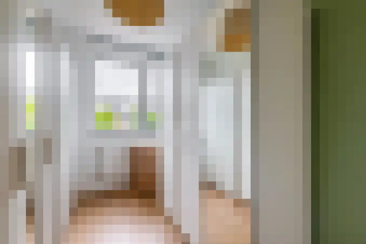 Oostmeerlaan 213 Berkel en Rodenrijs thumbnail 27