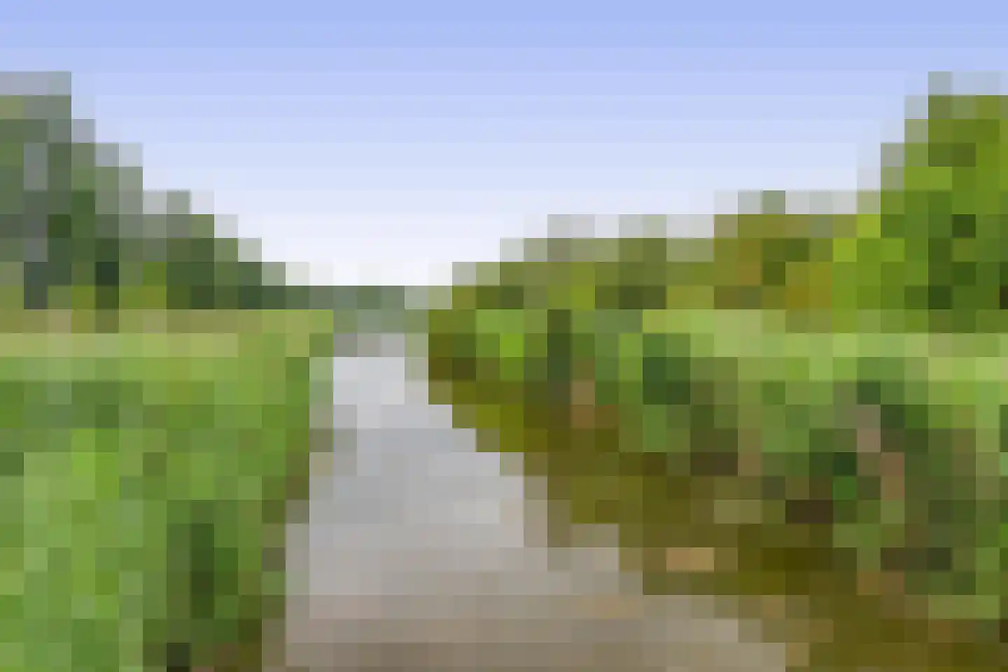 Oostmeerlaan 213 Berkel en Rodenrijs thumbnail 40