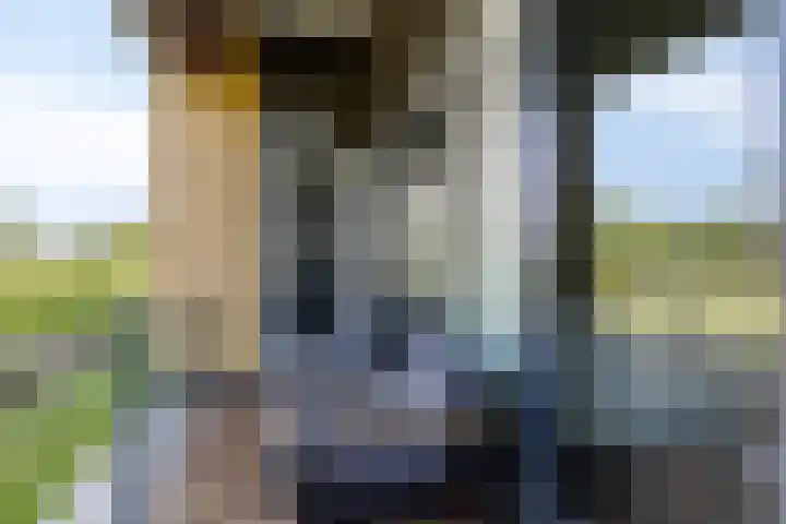 Oostmeerlaan 36 Berkel en Rodenrijs thumbnail 14