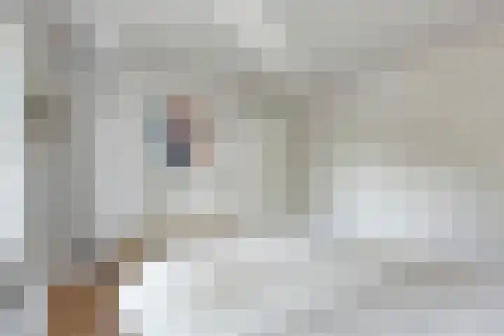 Oostmeerlaan 36 Berkel en Rodenrijs thumbnail 20