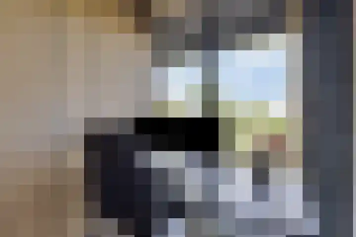 Oostmeerlaan 36 Berkel en Rodenrijs thumbnail 26