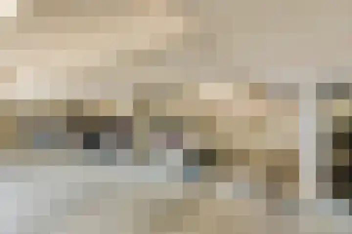 Oostmeerlaan 36 Berkel en Rodenrijs thumbnail 28