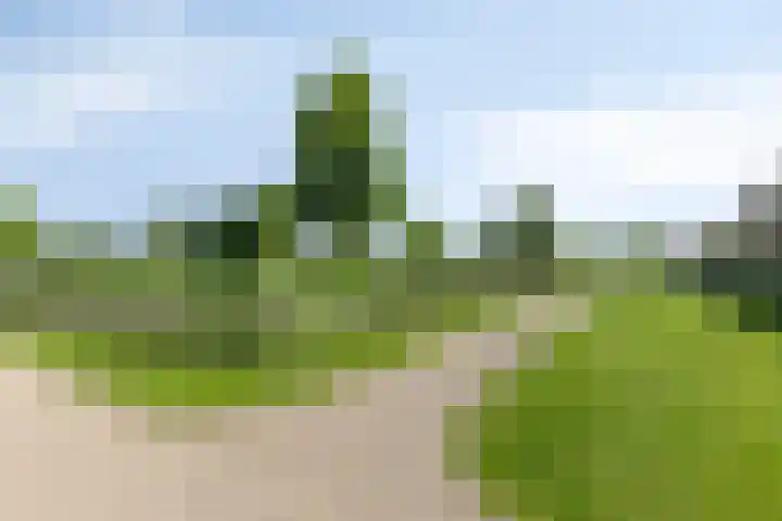 Oostmeerlaan 36 Berkel en Rodenrijs thumbnail 30