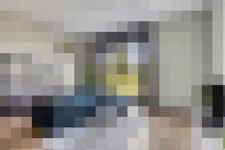Oostmeerlaan 36 Berkel en Rodenrijs thumbnail 6