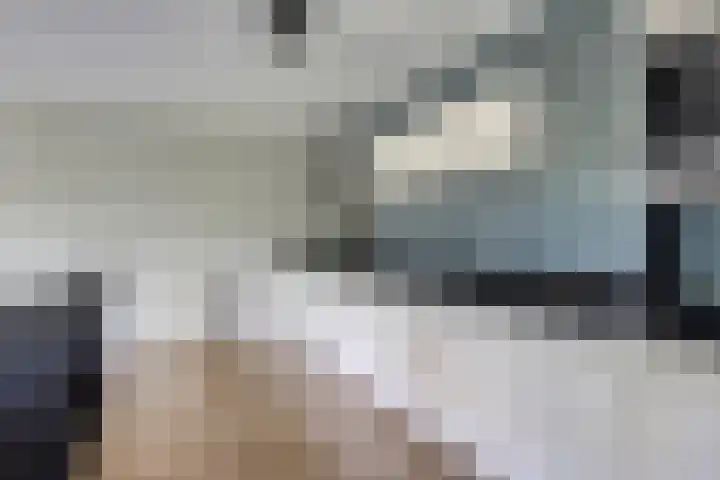 Oostmeerlaan 36 Berkel en Rodenrijs thumbnail 9