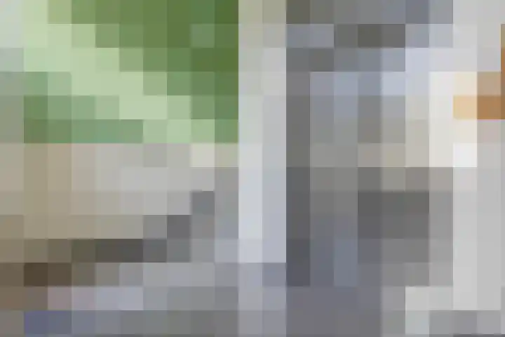 Oostmeerlaan 40 Berkel en Rodenrijs thumbnail 13