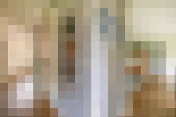 Oostmeerlaan 40 Berkel en Rodenrijs thumbnail 18