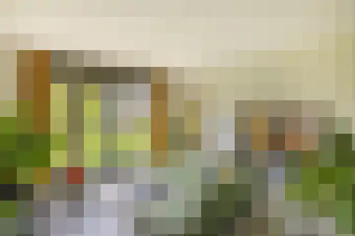 Oostmeerlaan 40 Berkel en Rodenrijs thumbnail 19