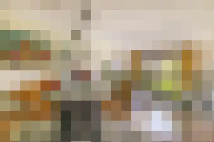 Oostmeerlaan 40 Berkel en Rodenrijs thumbnail 26