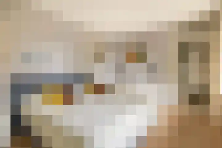 Oostmeerlaan 40 Berkel en Rodenrijs thumbnail 34
