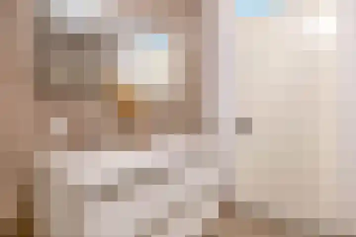 Oostmeerlaan 40 Berkel en Rodenrijs thumbnail 37