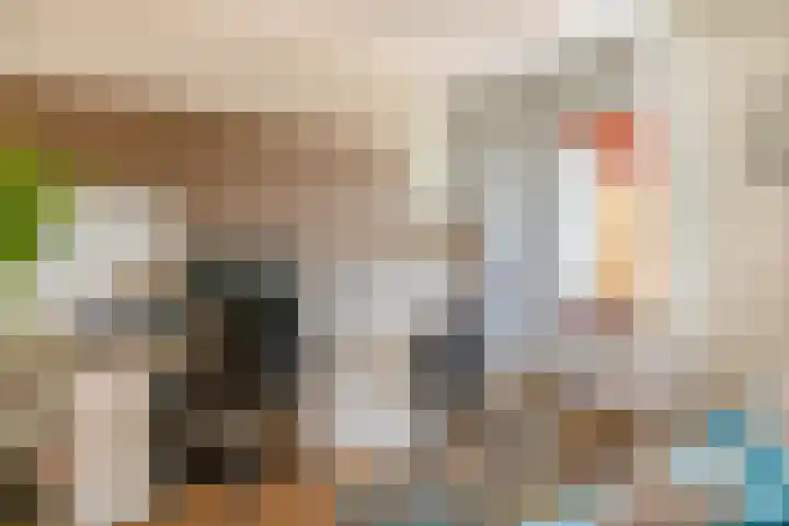 Oostmeerlaan 40 Berkel en Rodenrijs thumbnail 38
