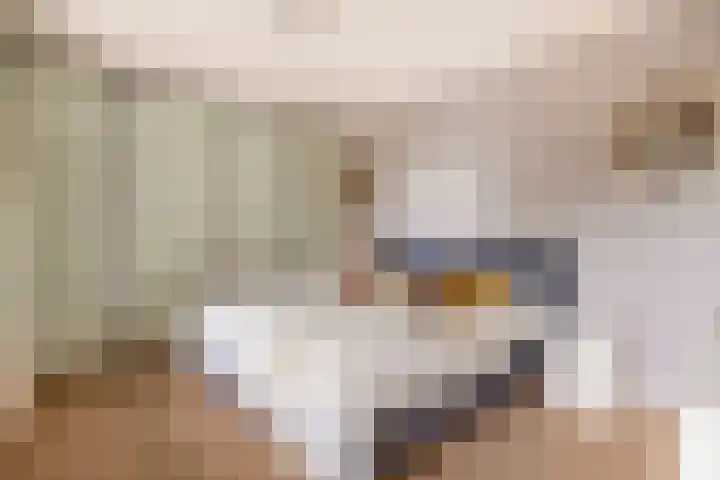 Oostmeerlaan 40 Berkel en Rodenrijs thumbnail 4