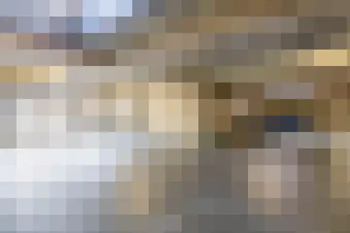 Oostmeerlaan 40 Berkel en Rodenrijs thumbnail 42