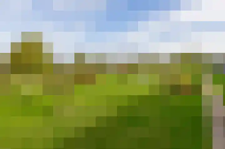 Oostmeerlaan 40 Berkel en Rodenrijs thumbnail 6