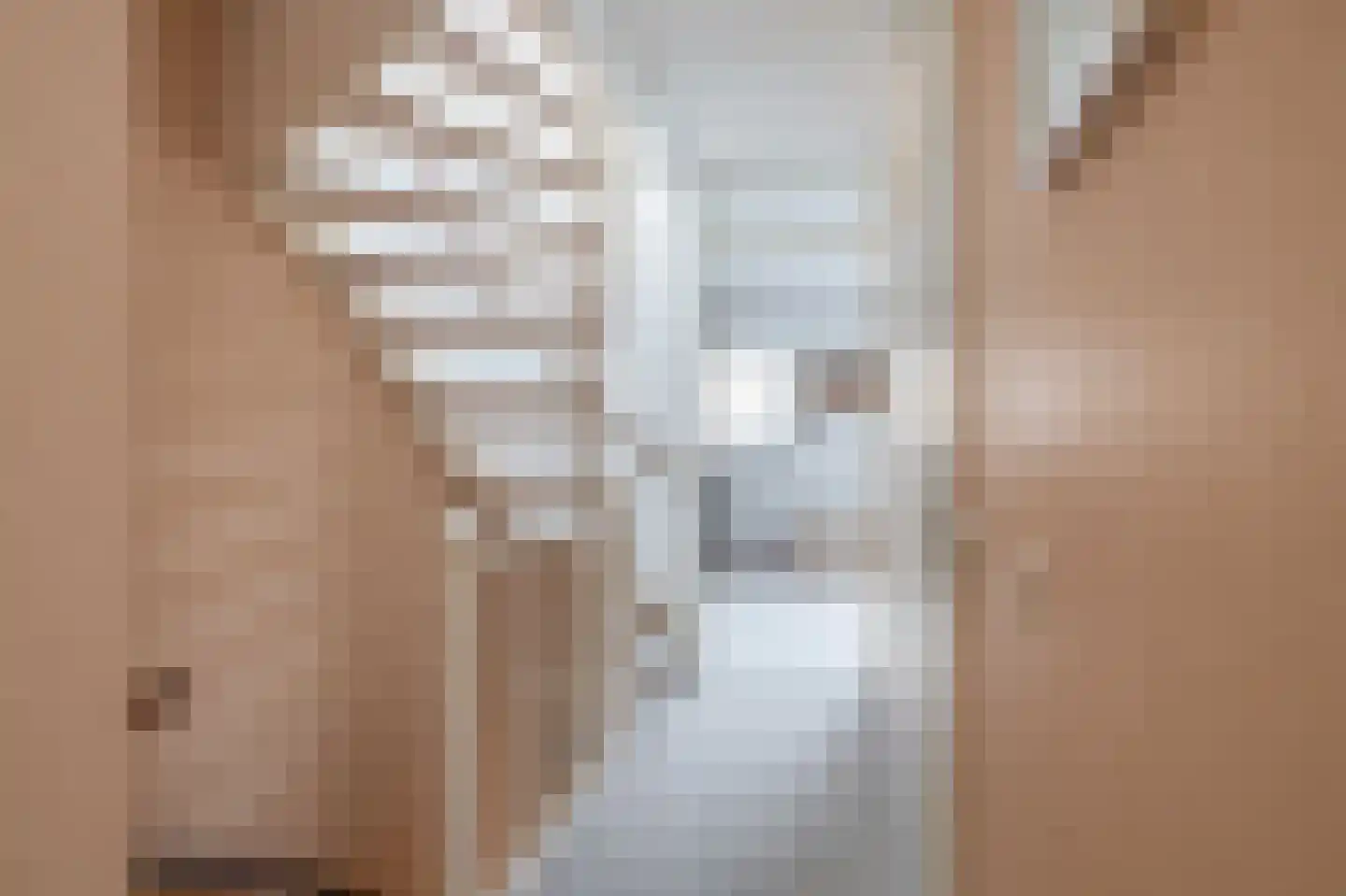Oostmeerlaan 59 Berkel en Rodenrijs thumbnail 26