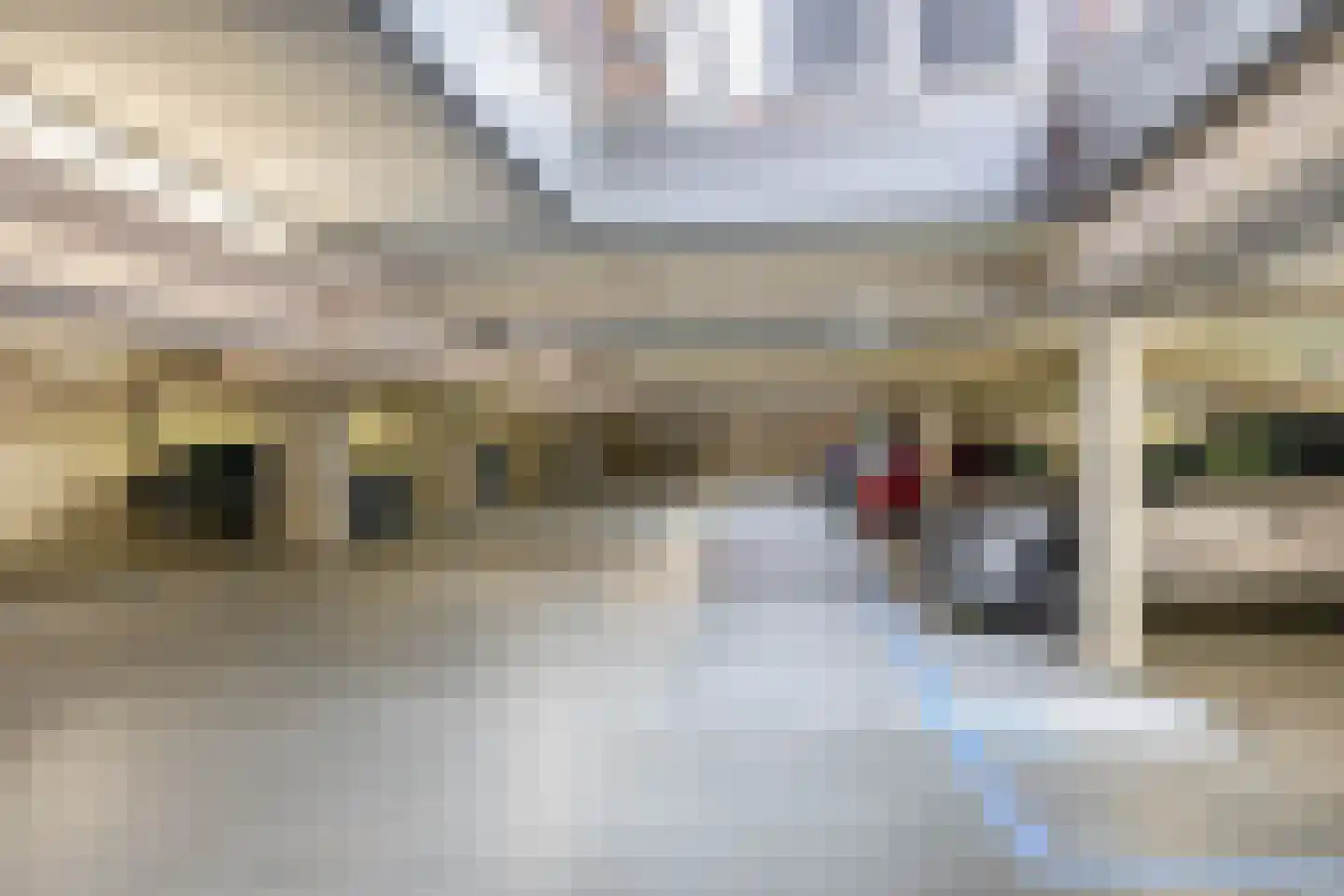 Oostmeerlaan 60 Berkel en Rodenrijs thumbnail 10