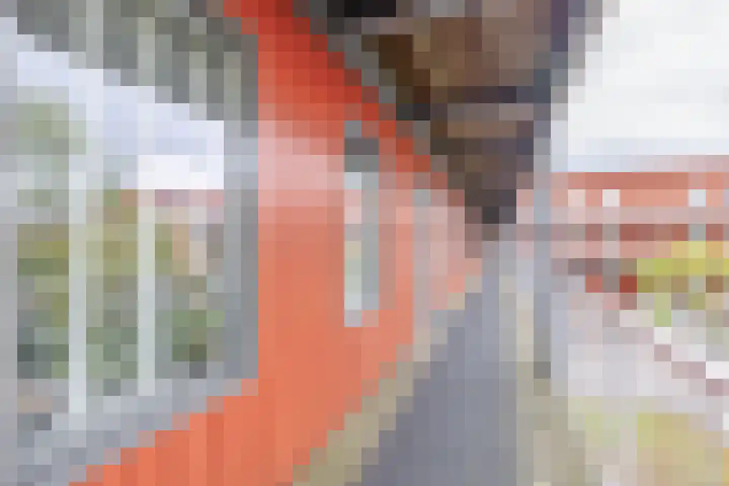 Oostmeerlaan 60 Berkel en Rodenrijs thumbnail 12