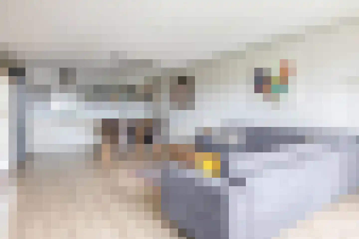 Oostmeerlaan 60 Berkel en Rodenrijs thumbnail 17