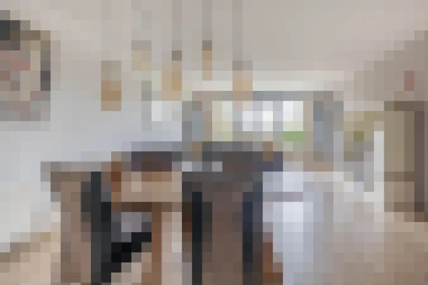Oostmeerlaan 60 Berkel en Rodenrijs thumbnail 19