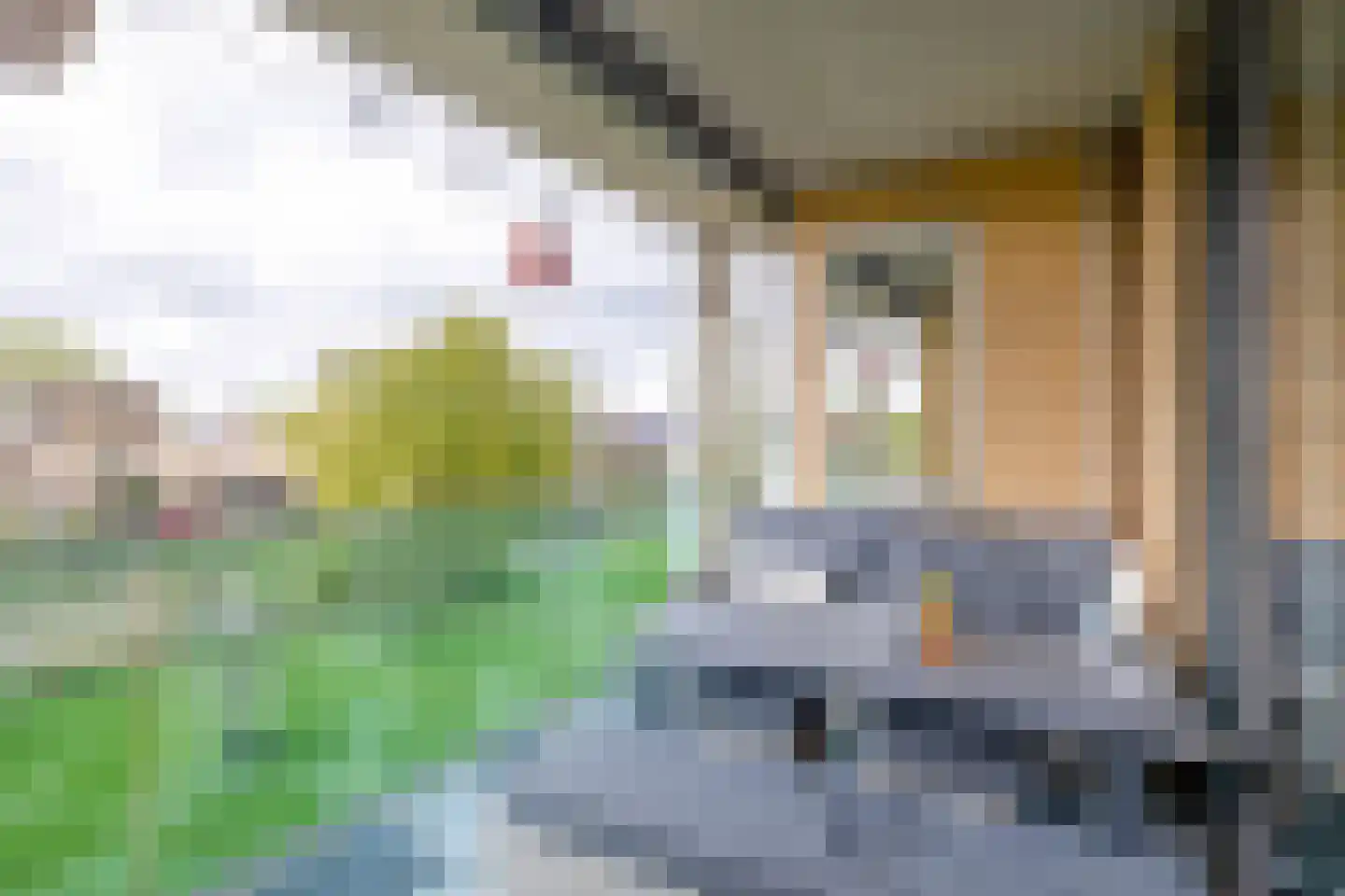 Oostmeerlaan 60 Berkel en Rodenrijs thumbnail 23
