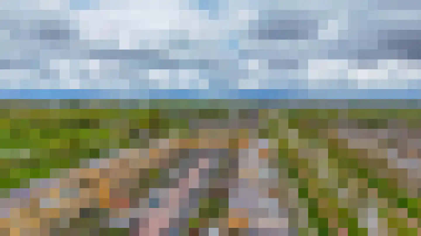 Oostmeerlaan 60 Berkel en Rodenrijs thumbnail 33