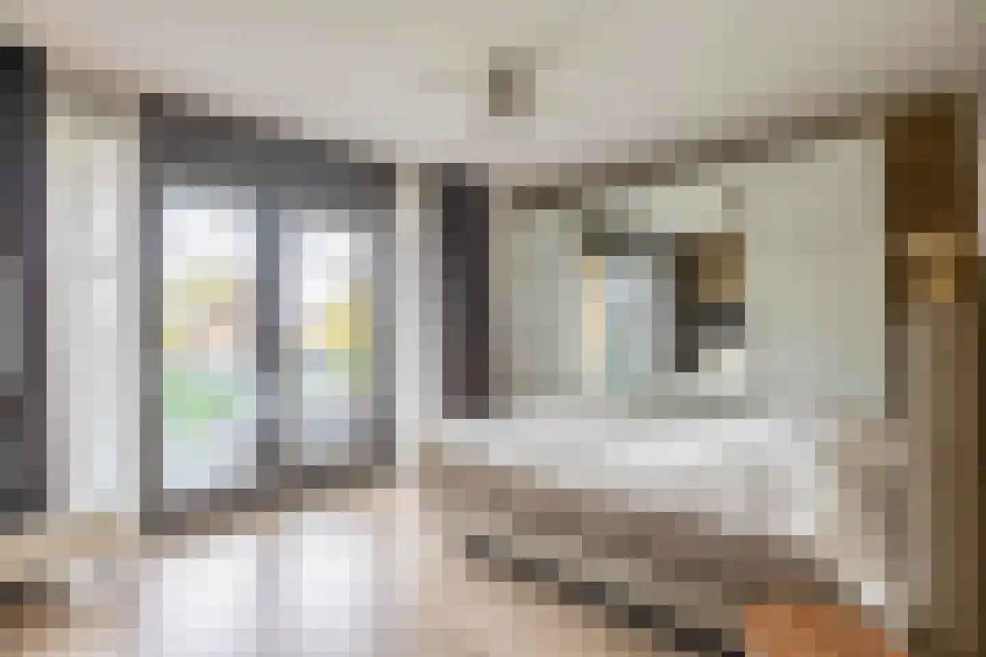 Oostmeerlaan 60 Berkel en Rodenrijs thumbnail 4