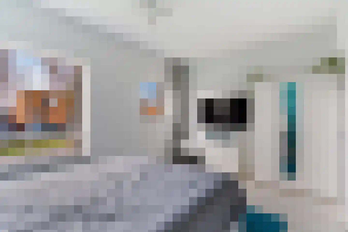 Oostmeerlaan 65 Berkel en Rodenrijs thumbnail 26