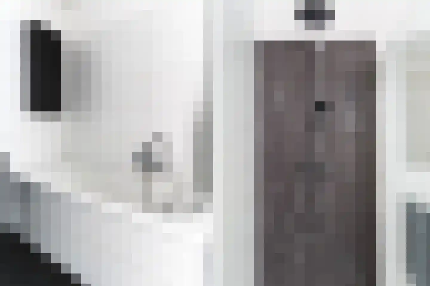 Oostmeerlaan 65 Berkel en Rodenrijs thumbnail 28