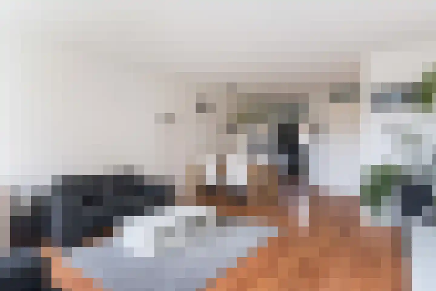 Oostmeerlaan 65 Berkel en Rodenrijs thumbnail 9