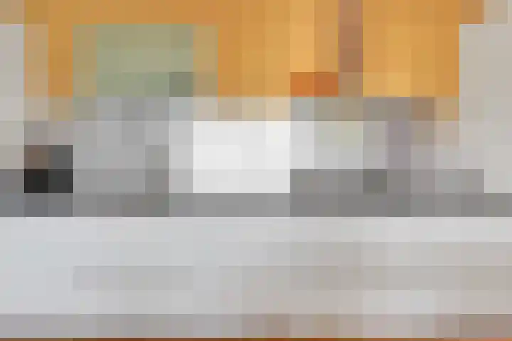 Oostmeerlaan 68 Berkel en Rodenrijs thumbnail 14
