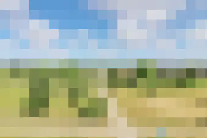 Oostmeerlaan 68 Berkel en Rodenrijs thumbnail 16