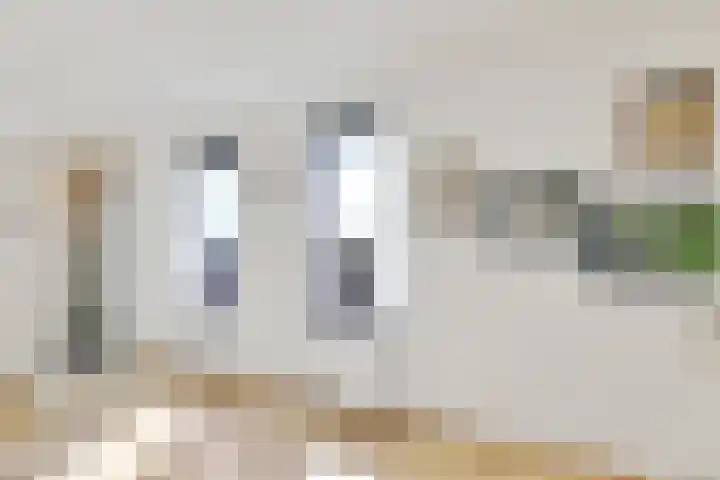 Oostmeerlaan 68 Berkel en Rodenrijs thumbnail 25