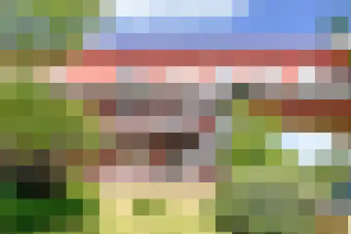 Oostmeerlaan 68 Berkel en Rodenrijs thumbnail 29