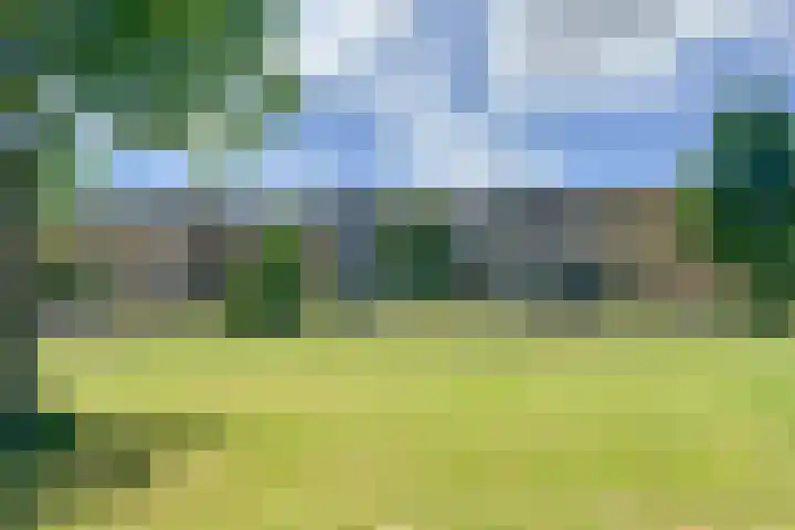 Oostmeerlaan 68 Berkel en Rodenrijs thumbnail 36