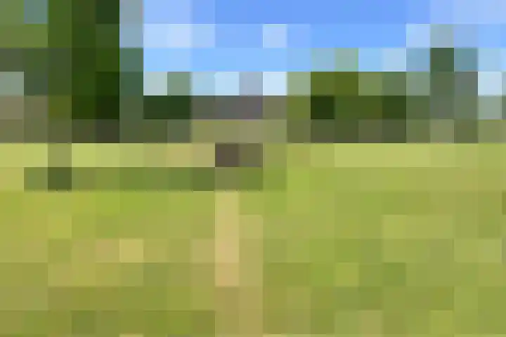 Oostmeerlaan 68 Berkel en Rodenrijs thumbnail 37