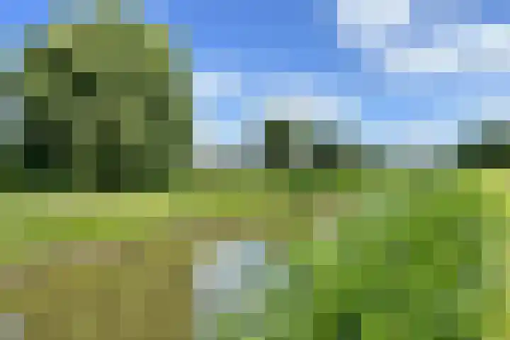 Oostmeerlaan 68 Berkel en Rodenrijs thumbnail 38