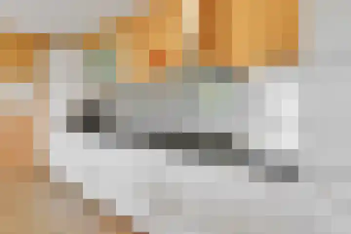 Oostmeerlaan 68 Berkel en Rodenrijs thumbnail 4