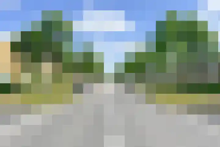 Oostmeerlaan 68 Berkel en Rodenrijs thumbnail 41