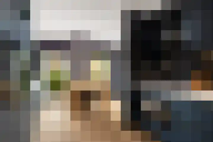 Oostmeerlaan 84 Berkel en Rodenrijs thumbnail 14