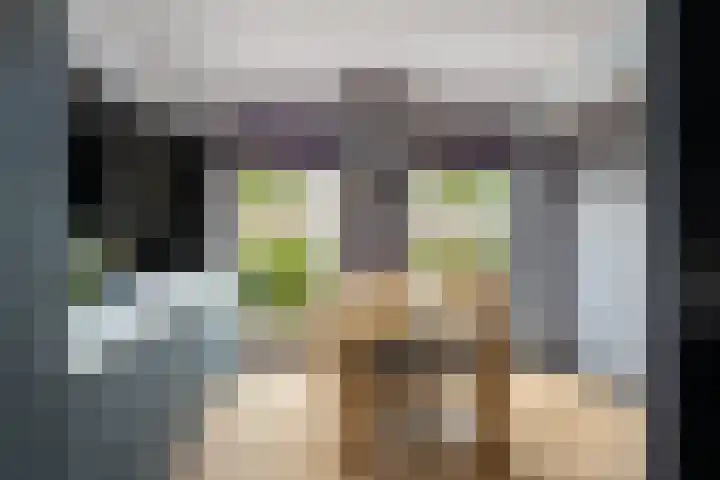 Oostmeerlaan 84 Berkel en Rodenrijs thumbnail 15