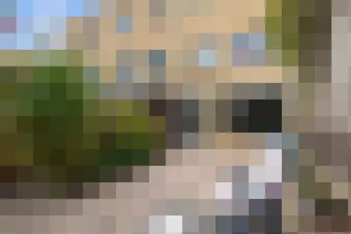 Oostmeerlaan 84 Berkel en Rodenrijs thumbnail 17